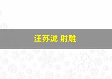 汪苏泷 射雕